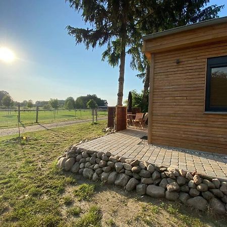 Tiny Haus Straussenblick 2 Villa Bad Fallingbostel Buitenkant foto